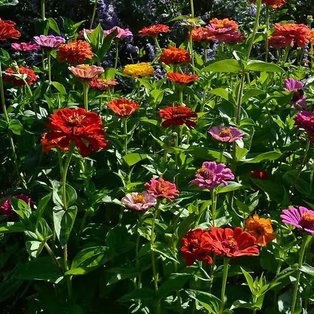 Les Hauts Du Causse 3*