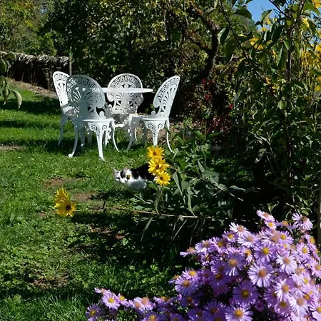 Bed & Breakfast Les Hauts Du Causse