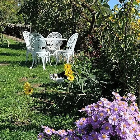 Les Hauts Du Causse فندق مبيت وإفطار Grand-Mas